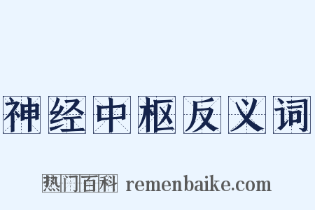 神经中枢反义词是什么意思的图片